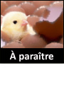 A_paraitre_cat