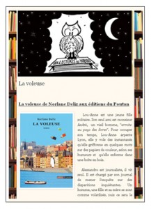les lectures du hibou 151207 - La voleuse