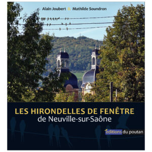 hirondelles fenetre